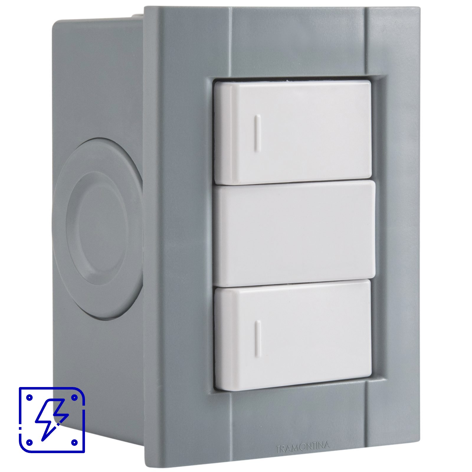 Conjunto de 2 Interruptores Simples Tramontina Plastibox Cor Cinza 10 A 250 V 12 UNIDADES EMB.MINIMA
