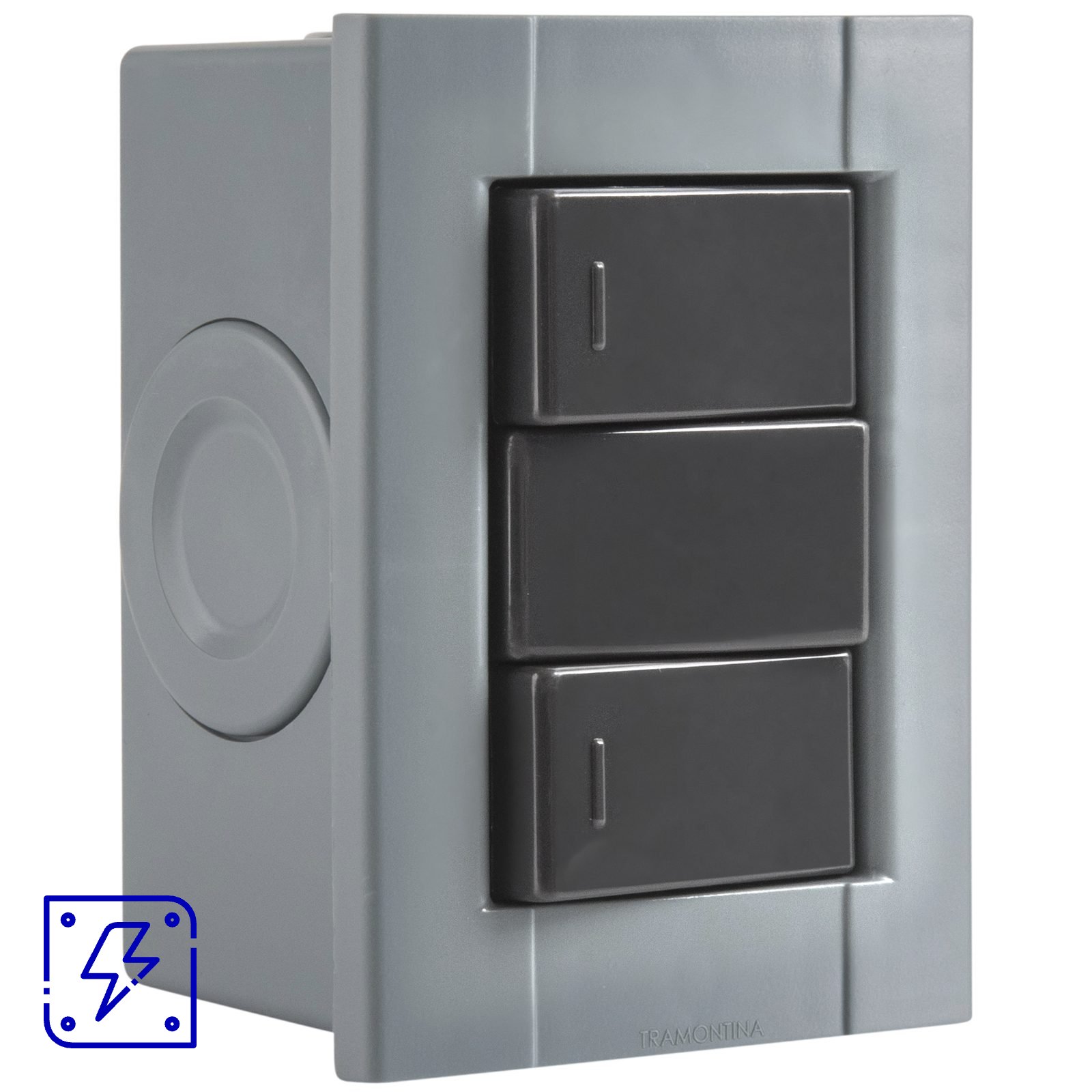 Conjunto de 2 Interruptores Simples Tramontina Plastibox na cor Cinza 10 A 250 V 12 UNIDADES EMB.MINIMA